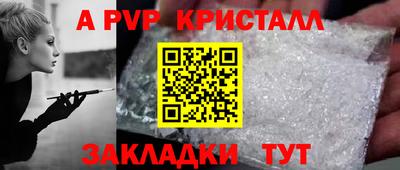 прущие грибы Владикавказ