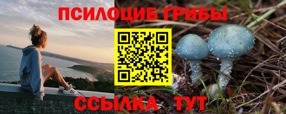 Псилоцибиновые грибы ЛСД  Вход с VPN  Галлюциногенные грибы MAGIC MUSHROOMS  как найти закладки  Обнинск 