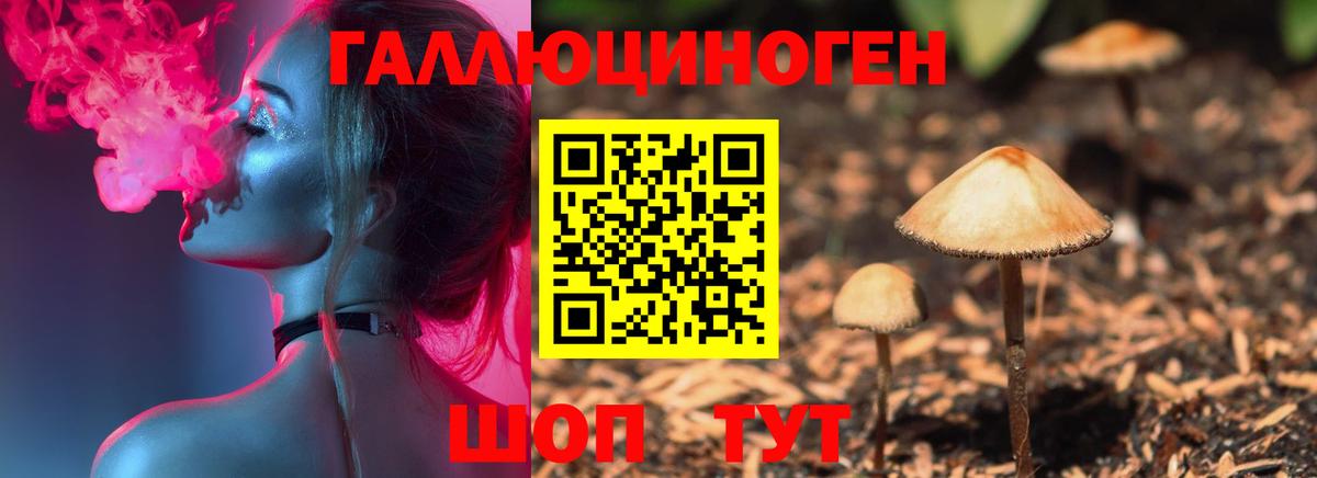 Псилоцибиновые грибы MAGIC MUSHROOMS Обнинск